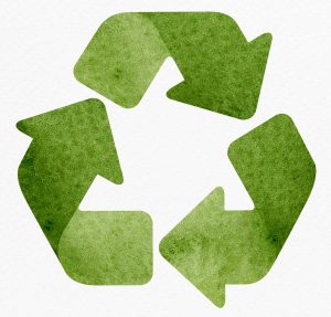 Packaging Biodegradable