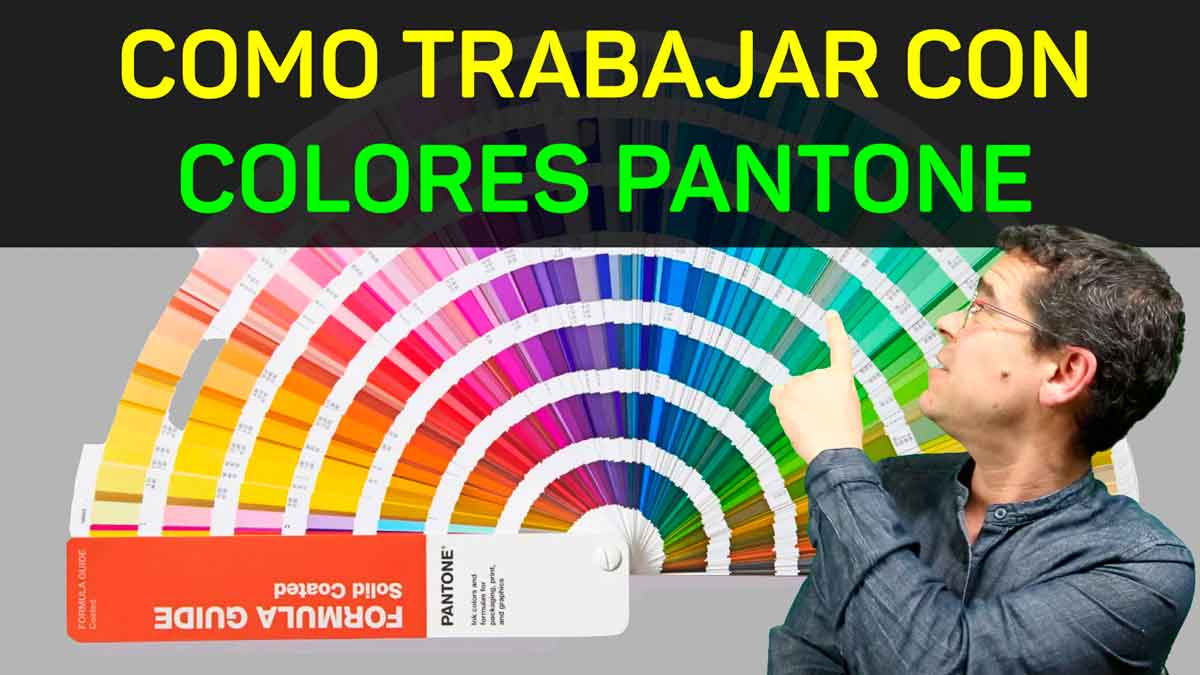 Guías Pantone en diseño de marca para control de calidad
